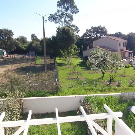 Veranu - Di Fiumorbo - Vue Campagne * Prunelli-di-Fiumorbo