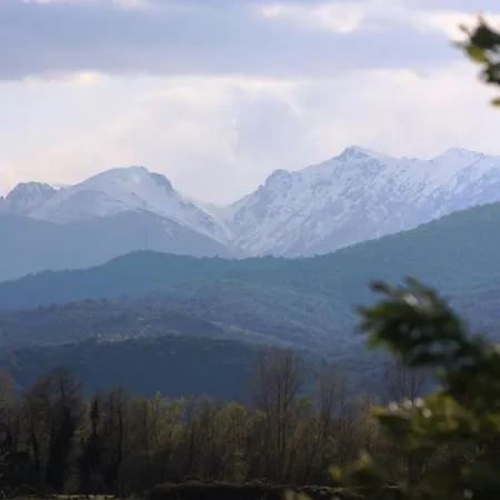Veranu - Di Fiumorbo - Vue Campagne וילה Prunelli-di-Fiumorbo